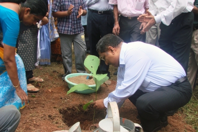 Planting trees in school premises at LPS Peroorkada