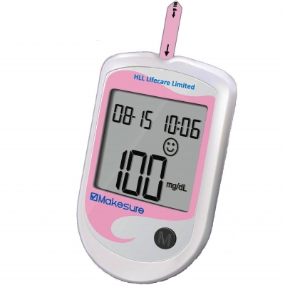 Blood Glucose Monitoring System